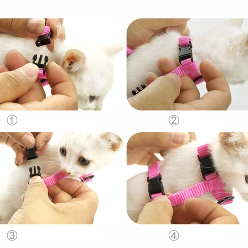 Angel Wings Pet Harness & Leash Set – Cute Lead for Cats, Puppies & Rabbits