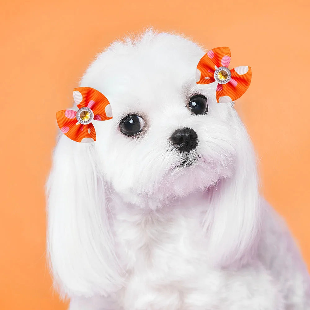 Dog Hair Bows 🎀 20pcs Summer Diamond Grooming Acce