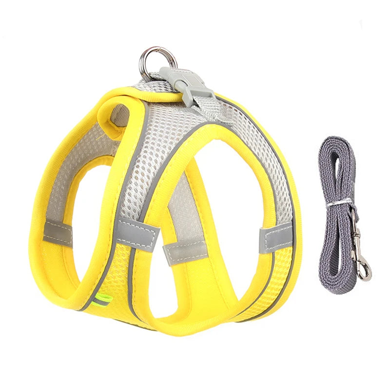 🐾 Adjustable Dog Harness & Leash Set – For Small Dogs, Cats, French Bulldogs, Chihuahuas & Pugs
