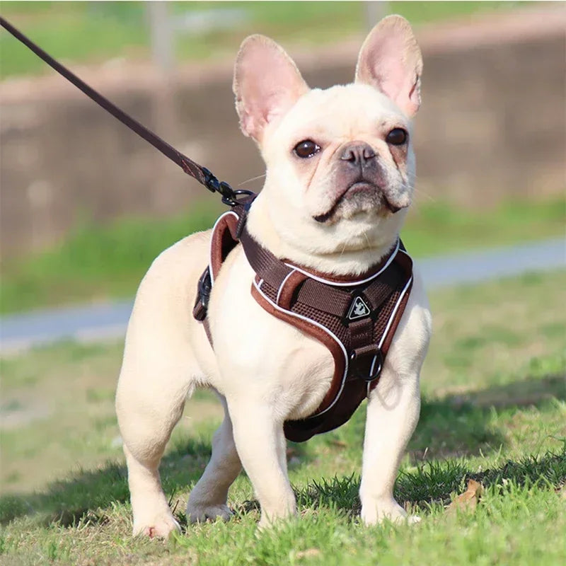🐾 No Pull Dog Harness & Leash Set – Reflective Adjustable Mesh Vest for Small Dogs & Cats