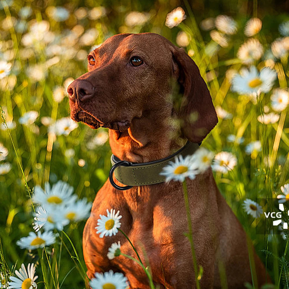 Soft Padded Leather Dog Collar – Durable Pet Necklace for Large Dogs
