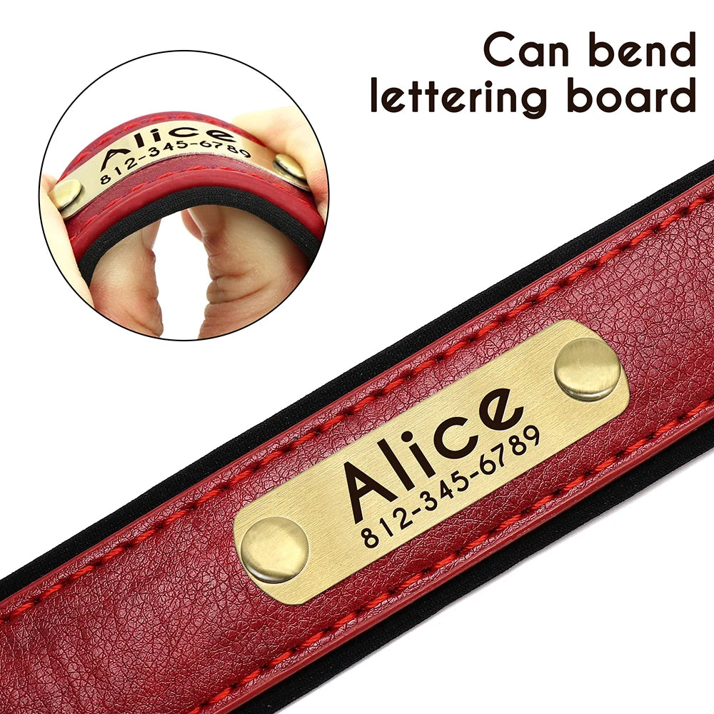 Custom Leather Dog Collar & Leash Set – Soft Padded with Engraved Nameplate