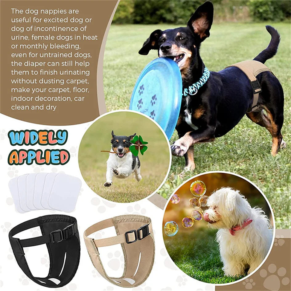 Female Dog Washable Diaper Pants – Anti-Harass Heat Nappies with 8 Pads