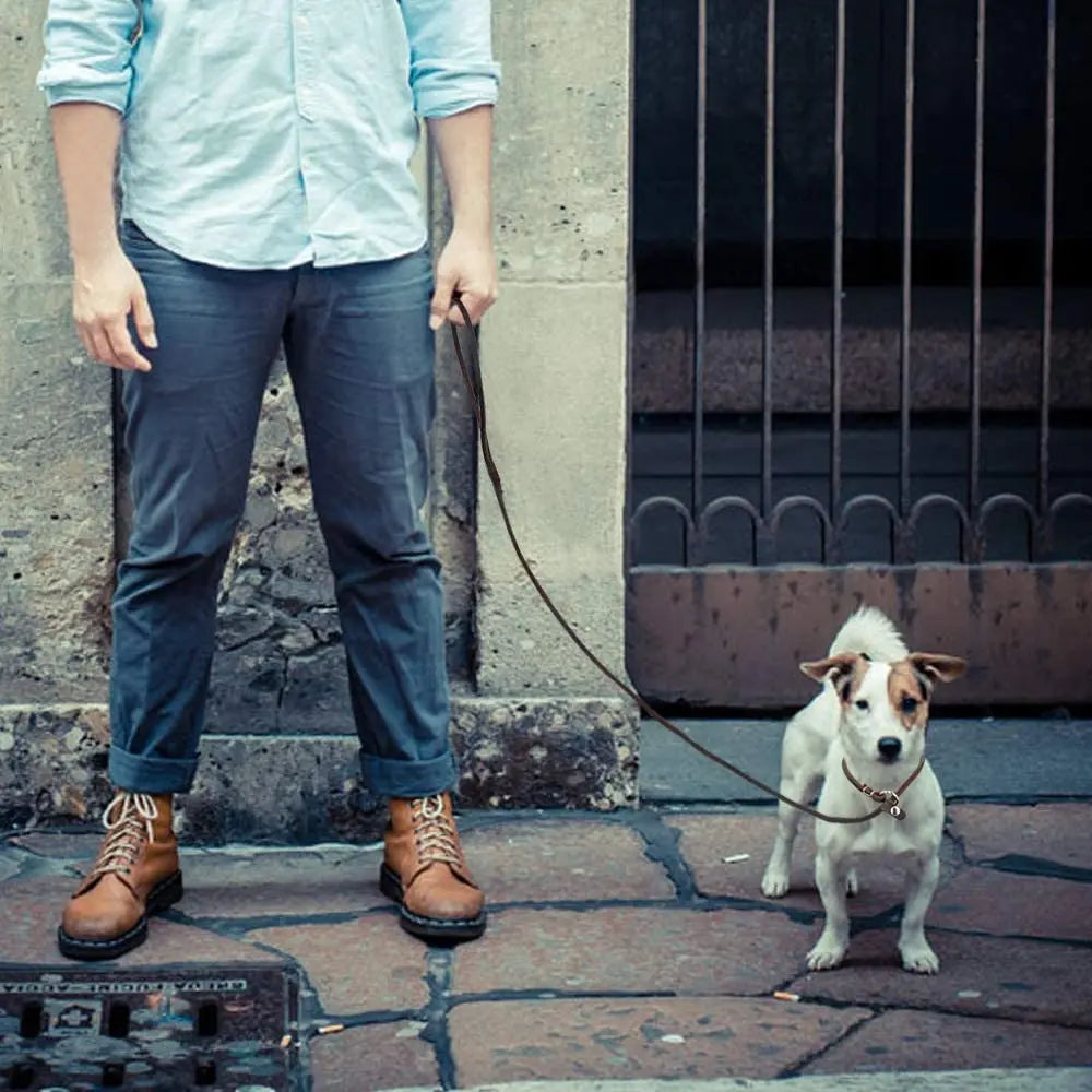 🐶 Soft Slim Genuine Leather Dog Slip Lead – No-Pull Training Control Leash for Small Dogs