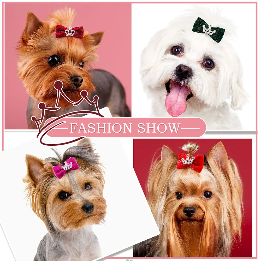 Dog Hair Clips 👑 Crystal Crown & Bow Set – 10PCS Pet Grooming Accesso