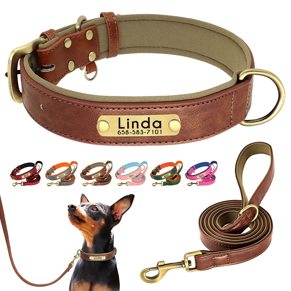 Custom Leather Dog Collar & Leash Set – Soft Padded with Engraved Nameplate