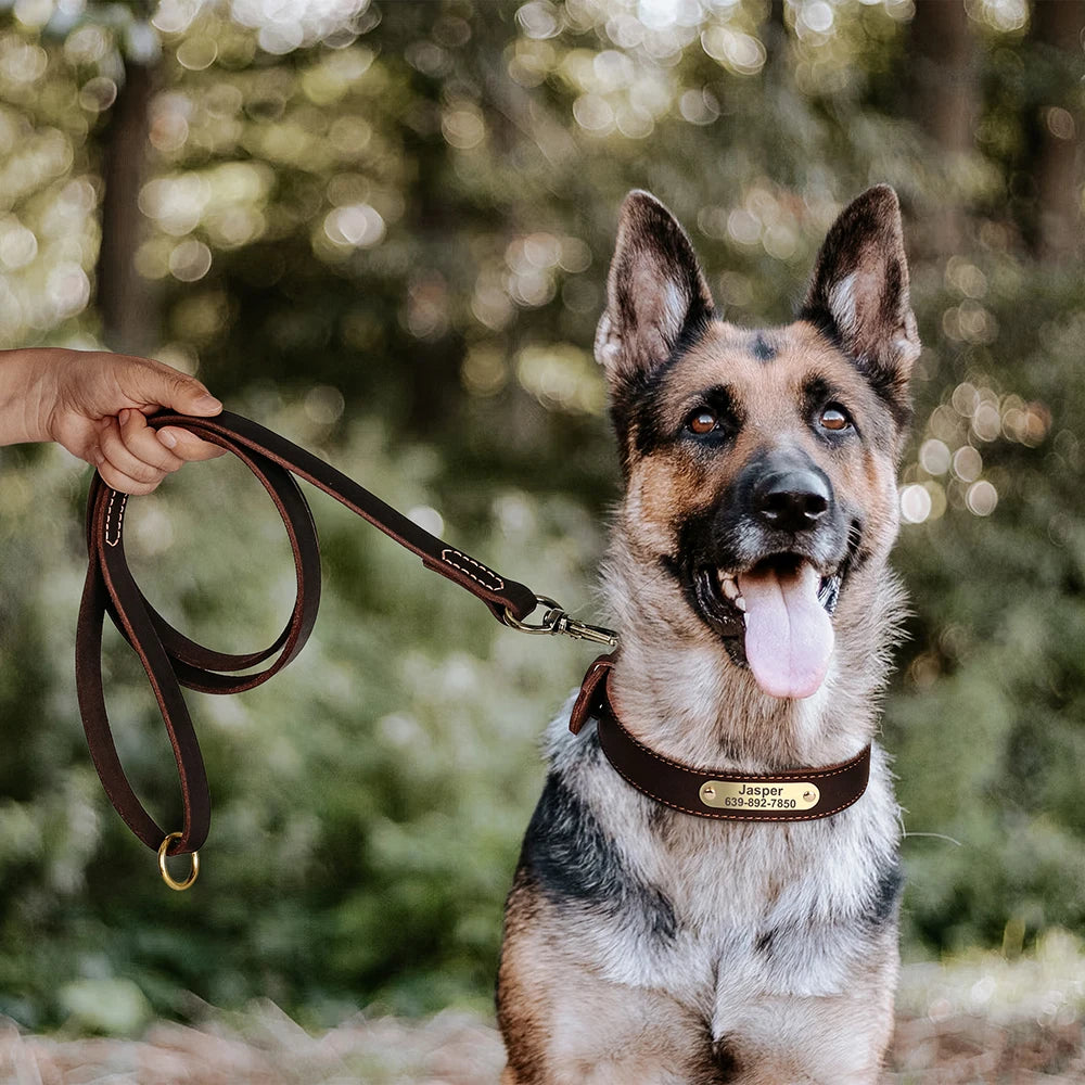 Personalized Leather Dog Collar & Leash Set – Engraved ID for Small to Large Dogs