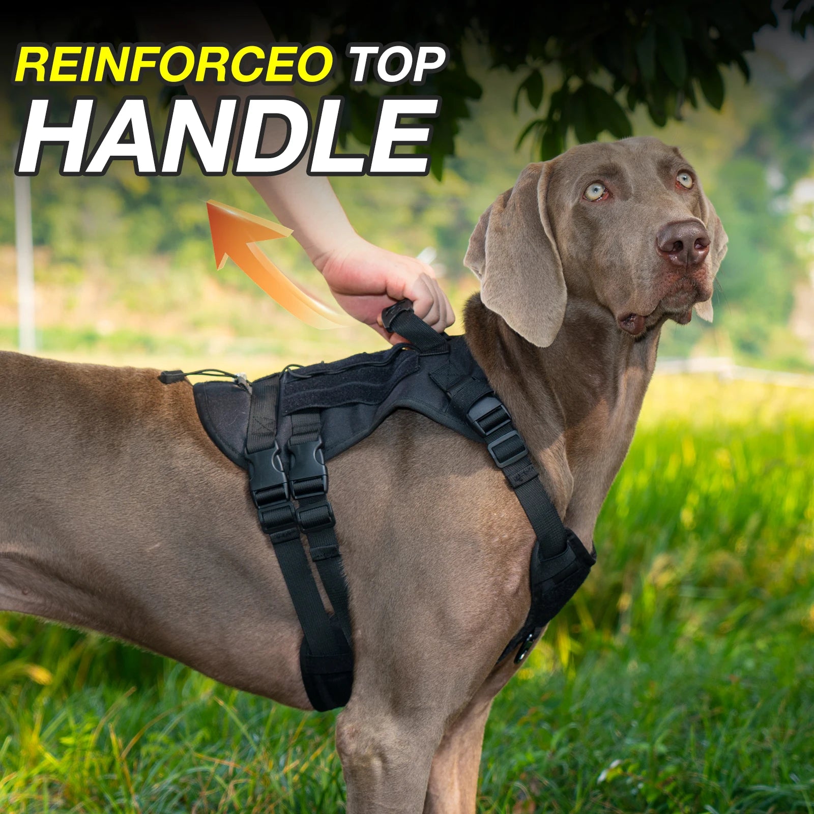 🛡️ Tactical Chest Strap Dog Harness – Heavy-Duty Outdoor Control for Large Dogs 🐕