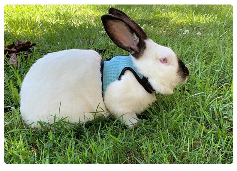 Breathable Pet Vest Harness & Leash Set – Adjustable for Rabbits & Small Pets