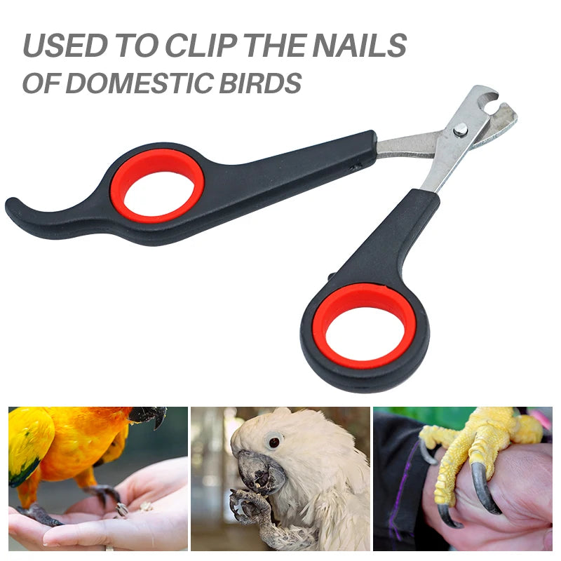 Pet Nail Clippers – Professional Claw Cutter for Dogs, Cats, Birds, Guinea Pigs & Small Animals