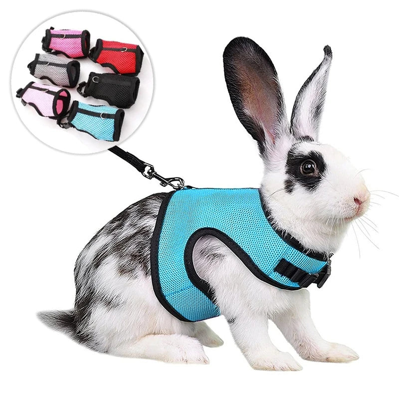 Breathable Pet Vest Harness & Leash Set – Adjustable for Rabbits & Small Pets