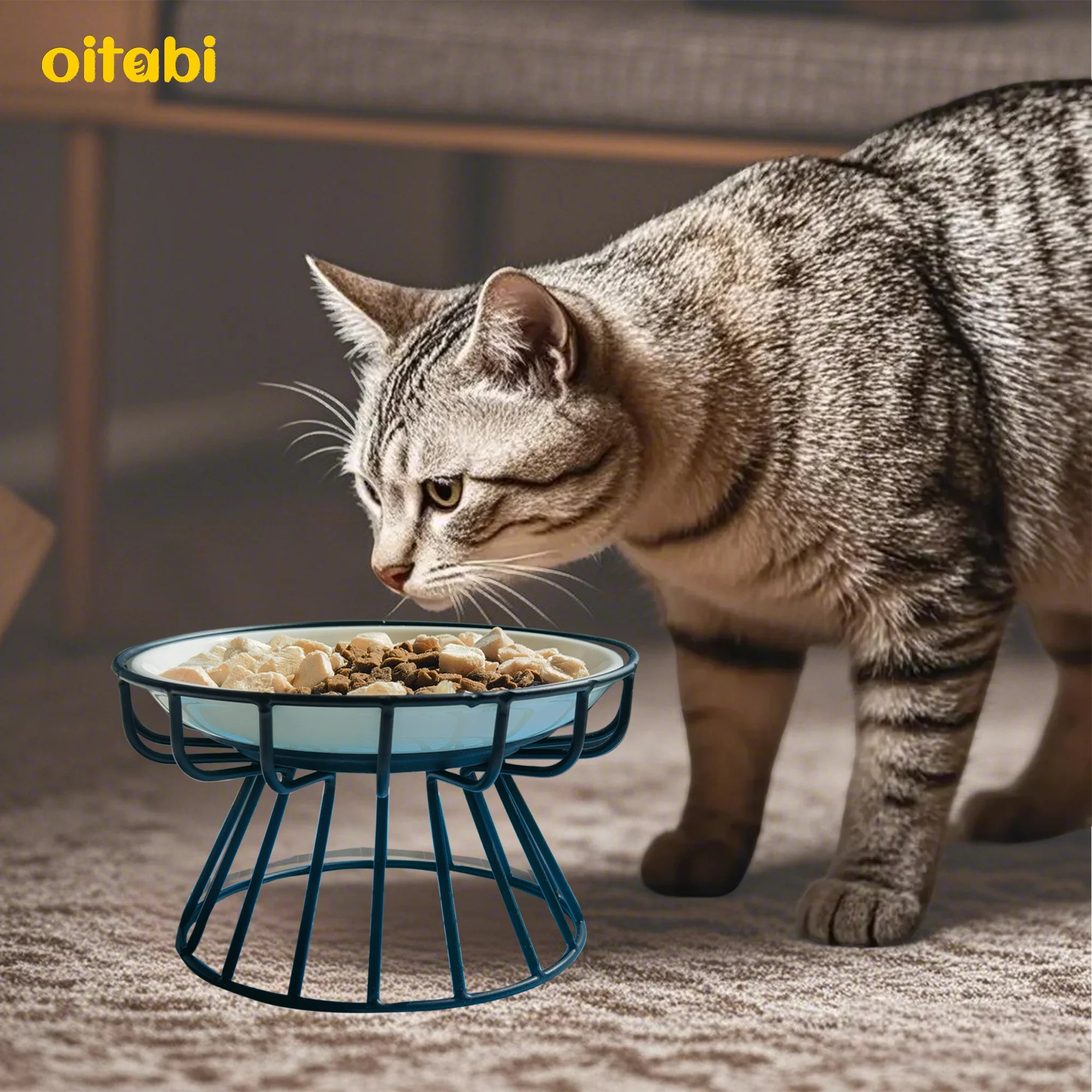 🐾 Oitabi Elevated Cat Bowls – Raised Ceramic Food Dishes with Metal Stand