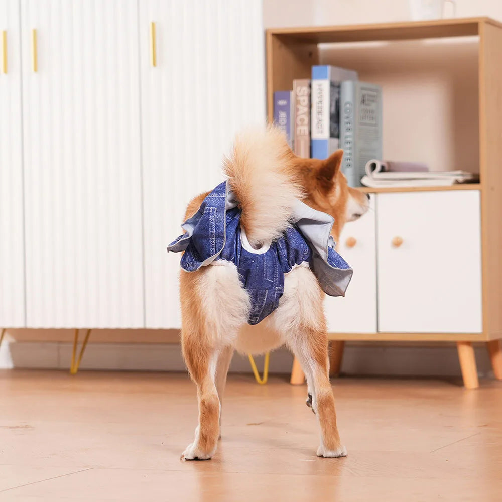 Reusable Female Dog Diapers – Washable, Highly Absorbent Doggie Diaper Shorts for Girl Dogs in Heat & Incontinence