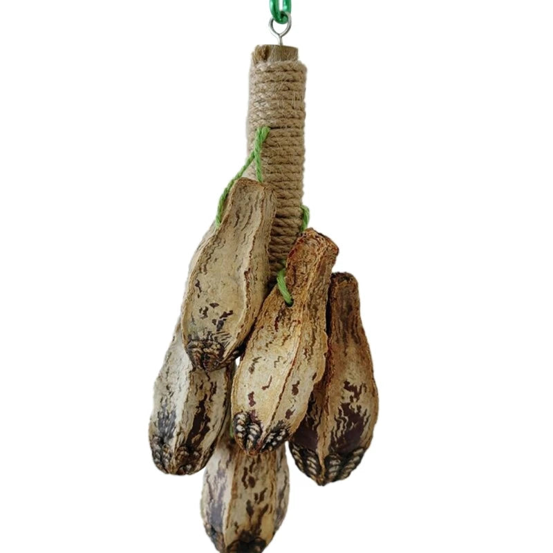 Colorful Hanging Parrot Bird Molar Toy – Chewable Bird Swing for Training and Beak Health