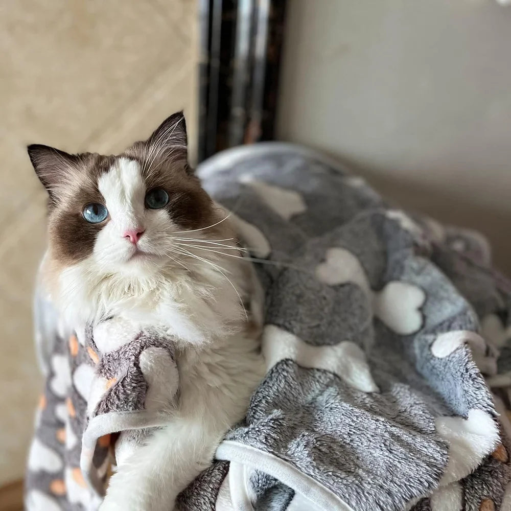 Soft Fluffy Bone Print Pet Blanket – Warm & Comfortable Throw for Cats and Dogs