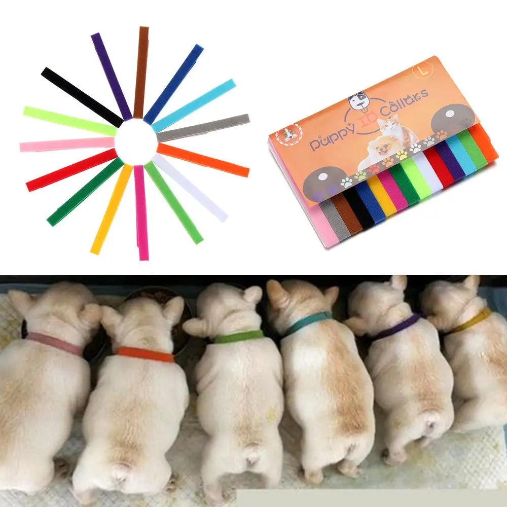 15PCS Adjustable Puppy ID Collars – Soft Nylon Newborn Whelping Collars for Puppies & Kittens