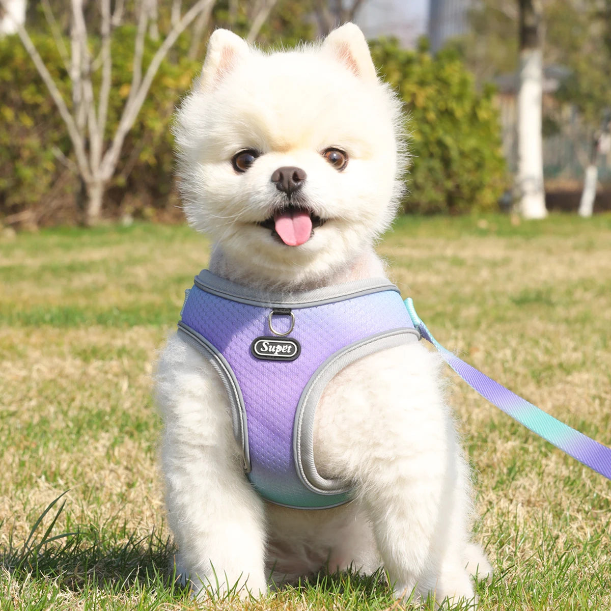 🐾 Supet Step-In Pet Harness – Adjustable, Reflective & Breathable for Dogs & Cats 🐶🐱