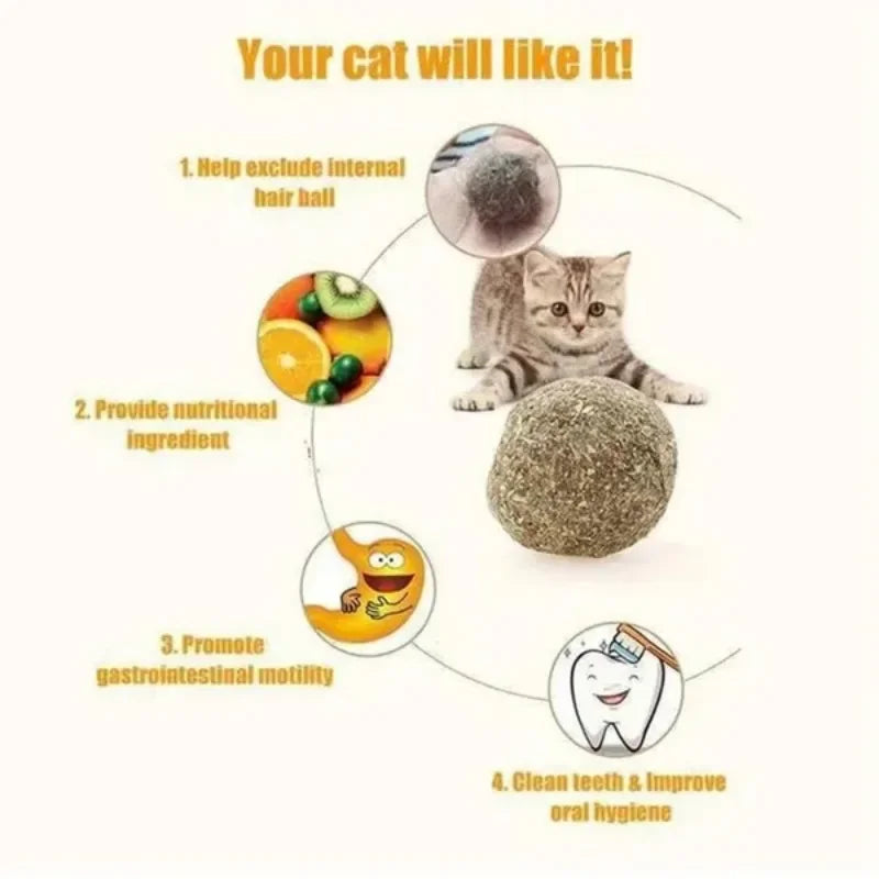 10pcs Natural Mint Catnip Balls – Healthy Toy & Snack for Cats