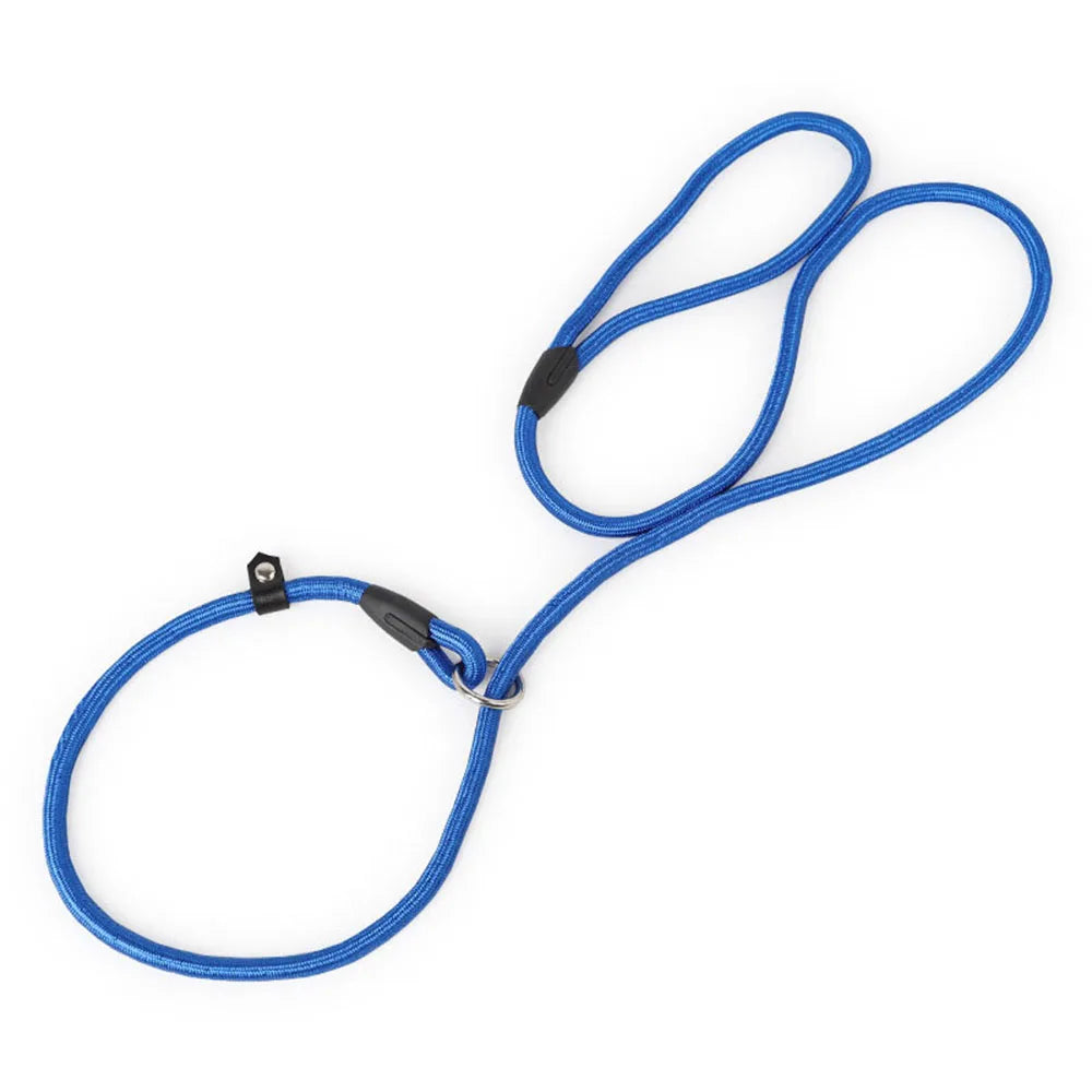 Nylon Slip Rope Dog Leash – No-Pull Training Lead for Small Dogs