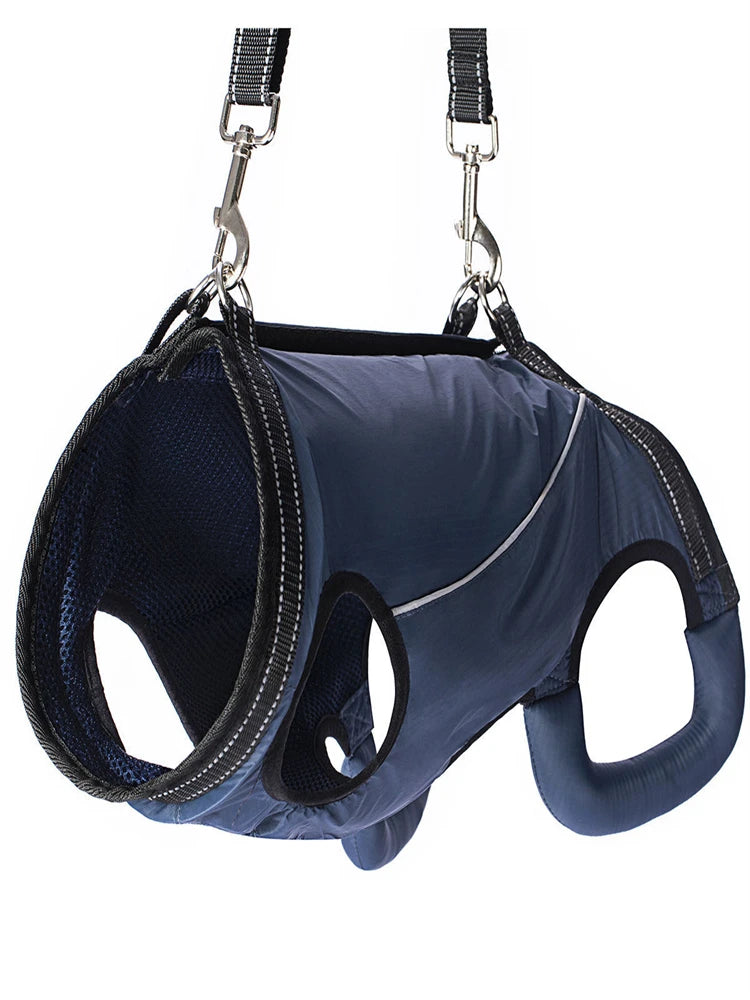 Dog Lift Harness Support Sling – Padded Aid for Disabled & Injured Dogs