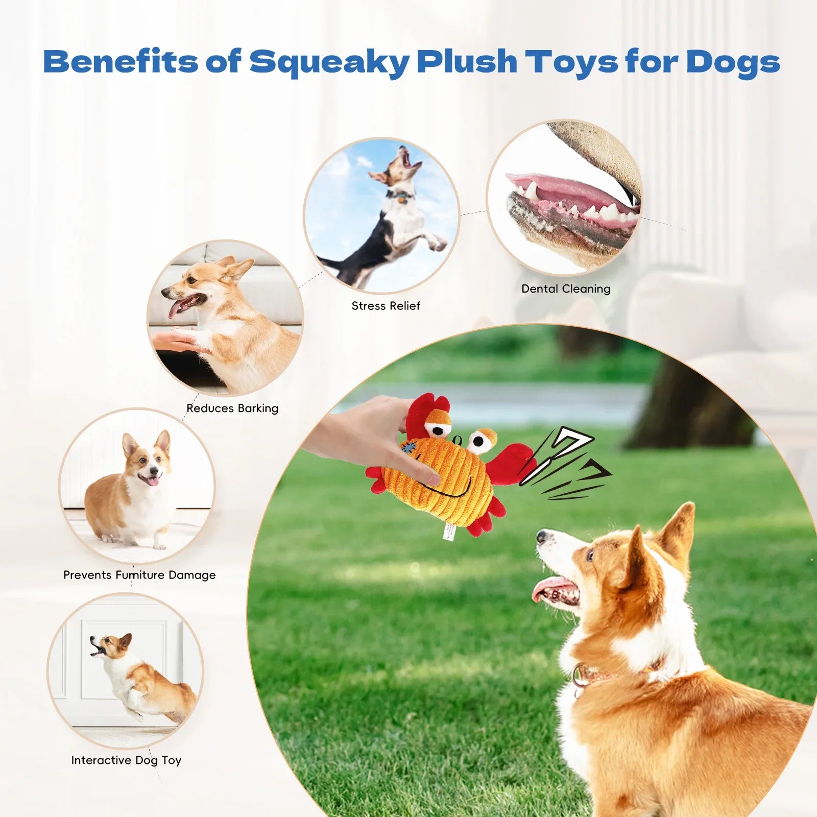 Ocean Plush Dog Toys – Soft Squeaky Toys for Puppies & Small Dogs 🐟🐾