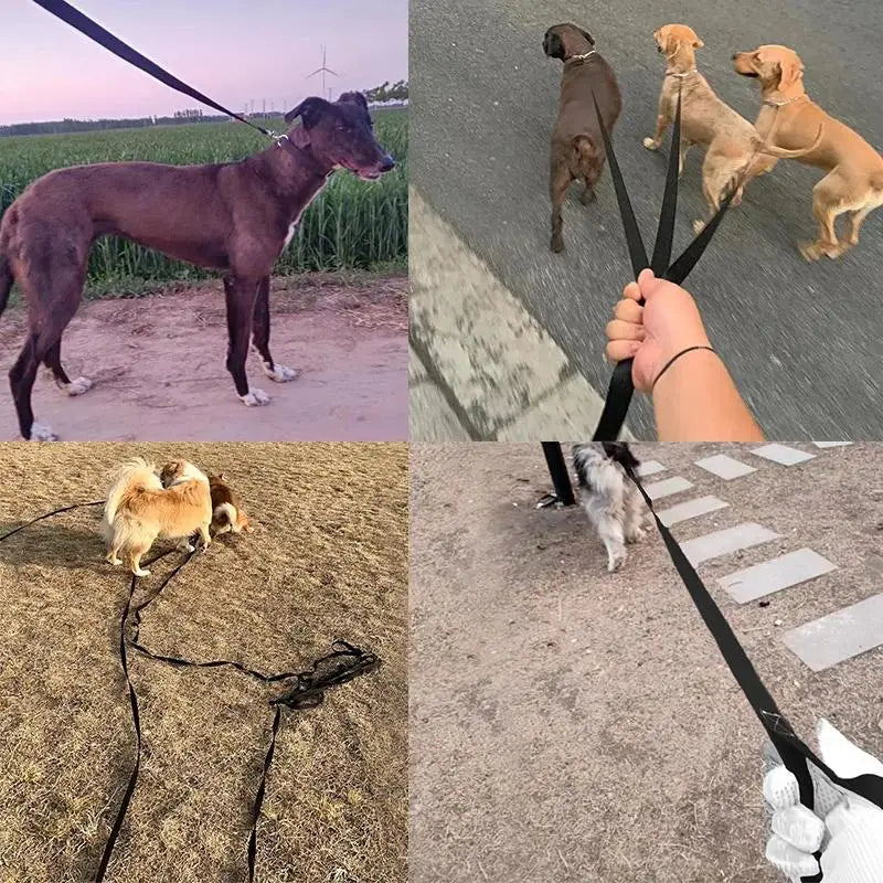 Long Strong Nylon Dog Leash – 10m,15m,20m Training Lead for All Dogs