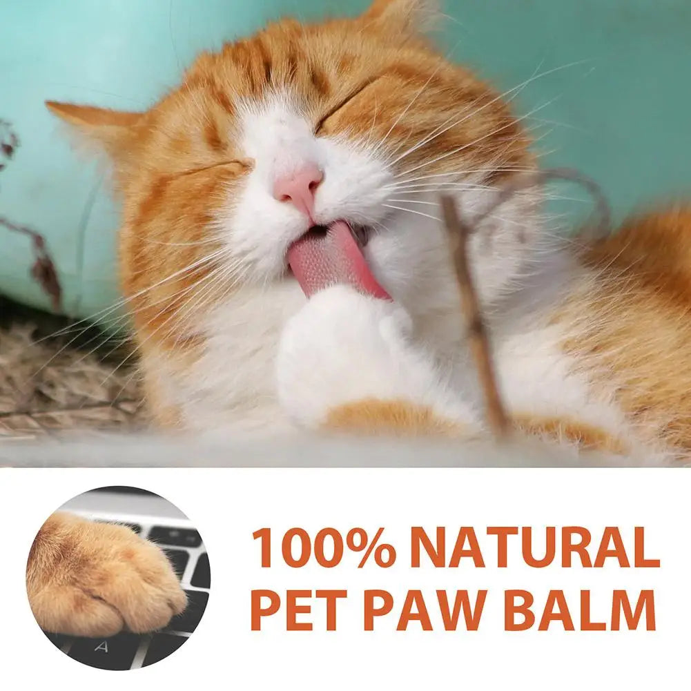 Pet Paw Cream Dog Cat Paw Cleaner Kitten Foot Washer Foot Cleaning Protection Moisturizer Pet Supplies Dry Healthy Care Balm 30g