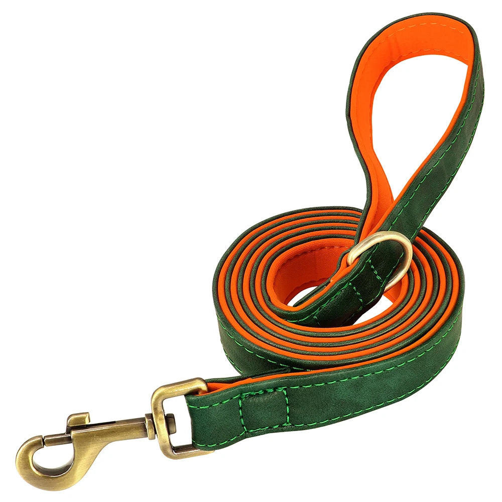 Custom Leather Dog Collar & Leash Set – Soft Padded with Engraved Nameplate