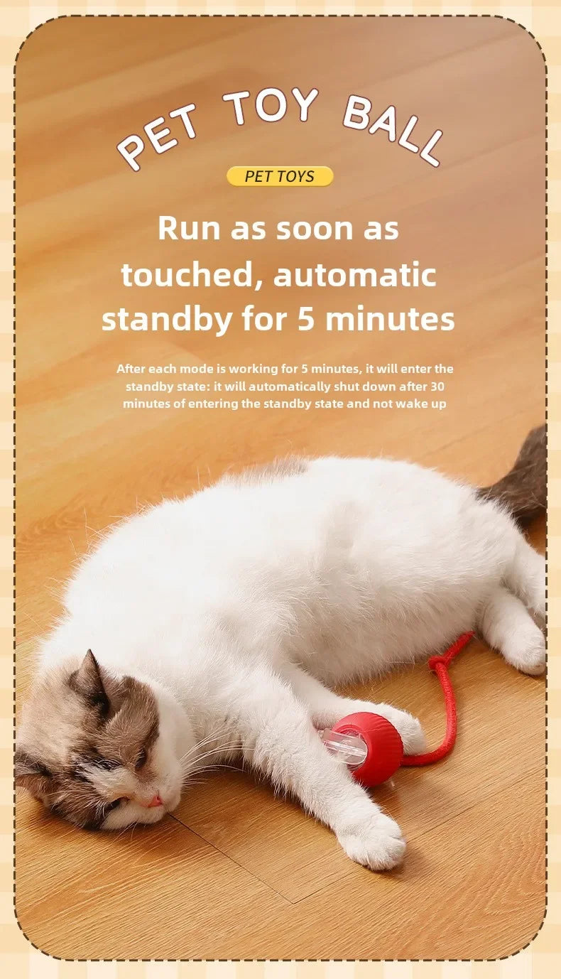 Smart Rolling Ball Toy – Rechargeable Interactive Toy for Cats & Dogs