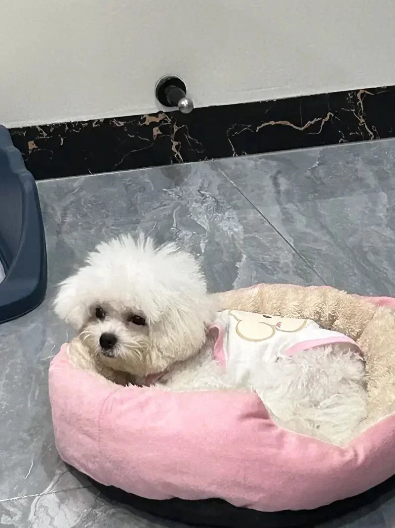 Very Soft Warm Dog Bed Sofa – Cozy Pet Basket for Medium & Large Dogs & Cats