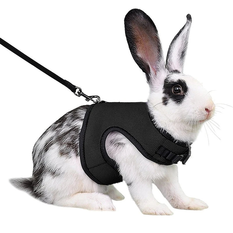 Breathable Pet Vest Harness & Leash Set – Adjustable for Rabbits & Small Pets