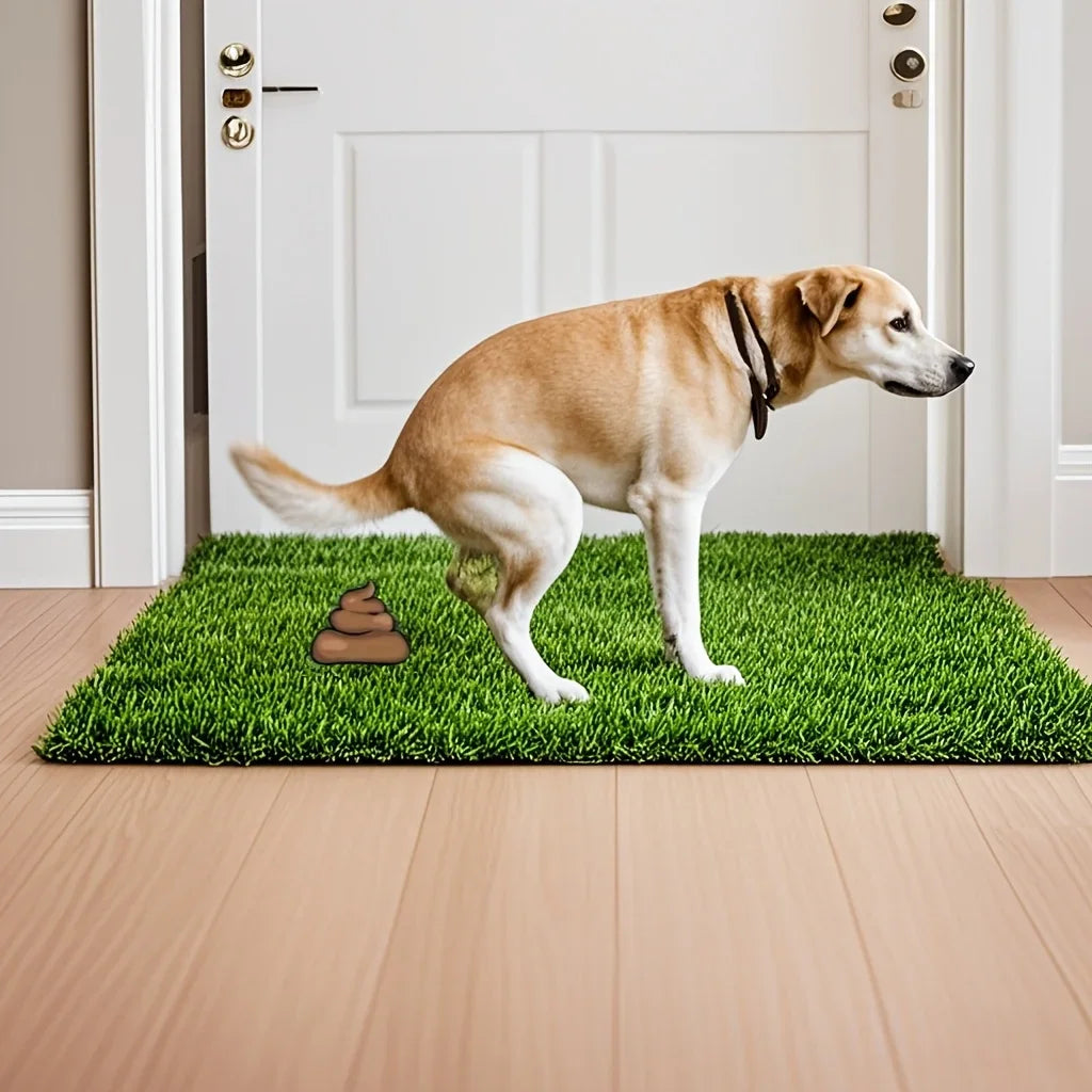 Reusable & Washable Dog Grass Mat – Odor-Control Artificial Turf Pee Pad with Non-Slip Base for Pet Training