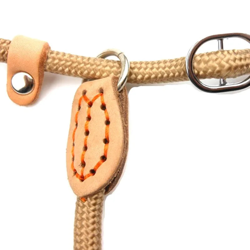 Heavy Duty Slip Rope Dog Leash – Braided Adjustable Training Lead with Loop Collar for Medium & Large Dogs
