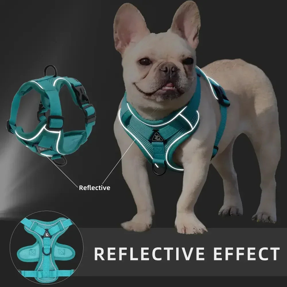 🐾 No Pull Dog Harness & Leash Set – Reflective Adjustable Mesh Vest for Small Dogs & Cats