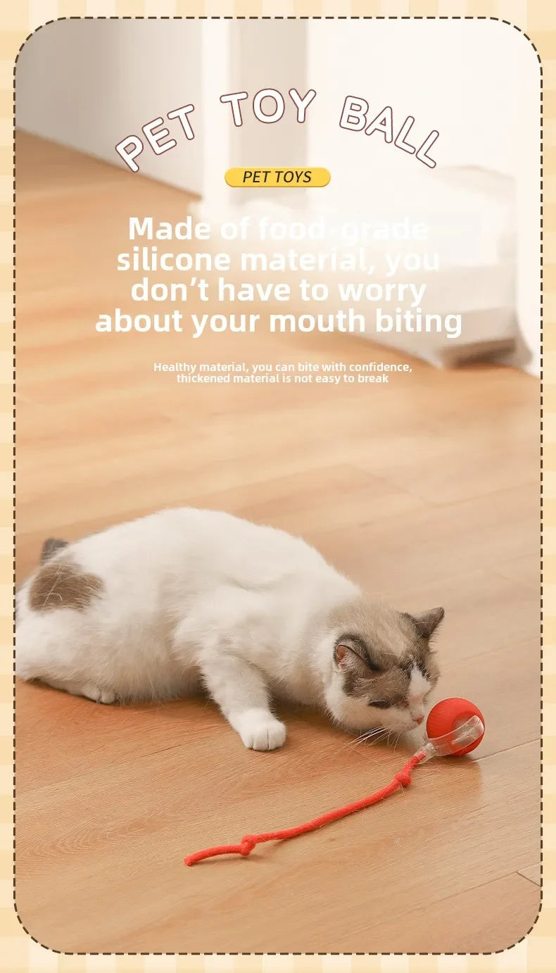 Smart Rolling Ball Toy – Rechargeable Interactive Toy for Cats & Dogs