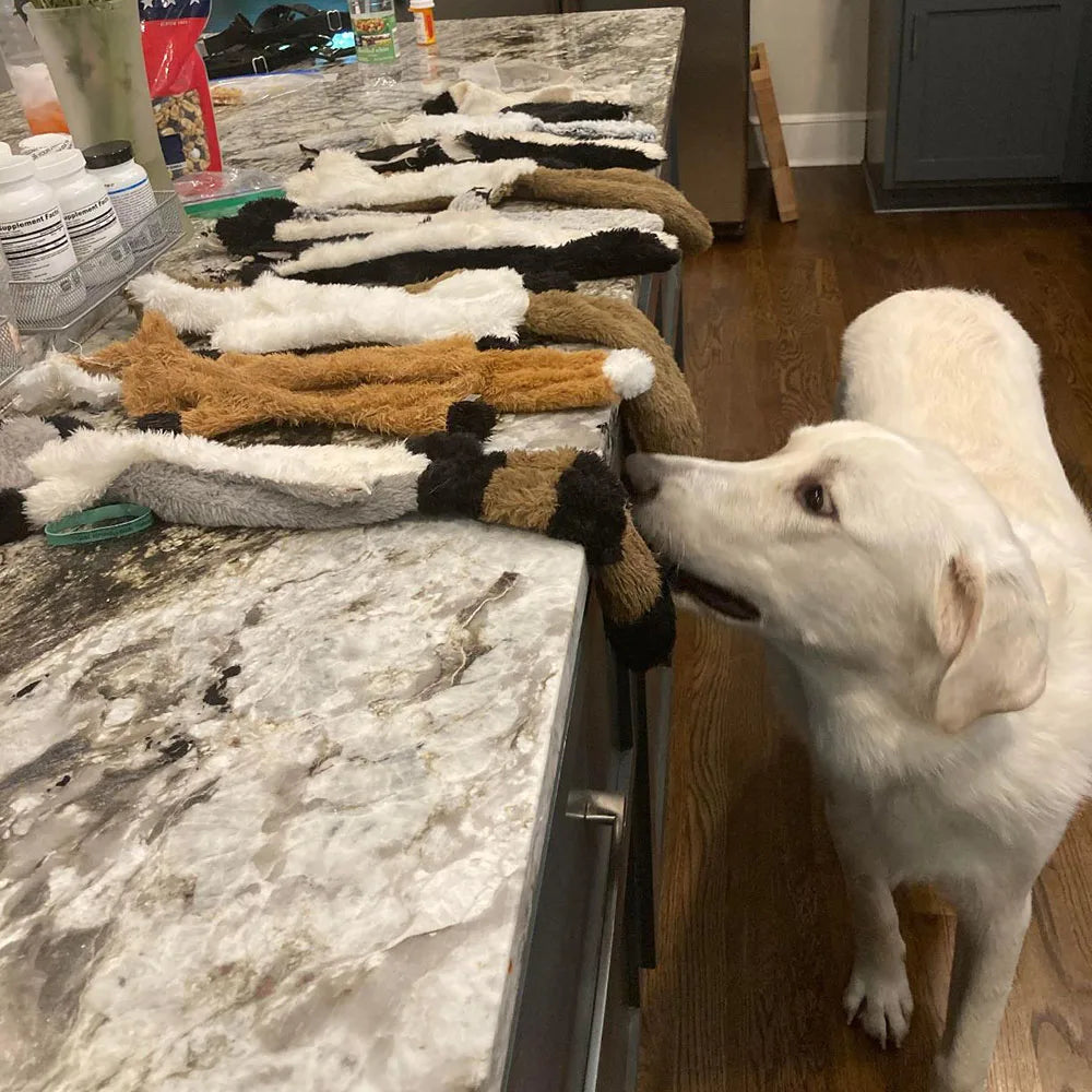 Stuffingless Plush Squeaky Dog Toy – Durable Animal Toy with Crinkle & Squeakers