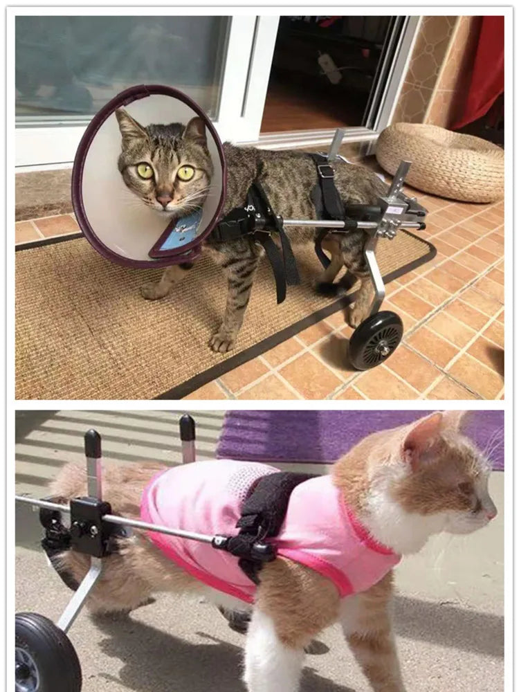 Cat & Small Pet Wheelchair – Hind Leg Injury & Rehab Support Stroller