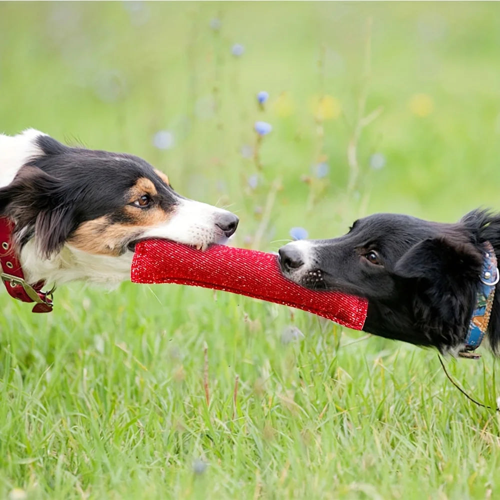 Indestructible Flying Saucer Dog Toy – Chew-Proof Rubber Ball for Aggressive Chewers, Interactive Outdoor Training Toy
