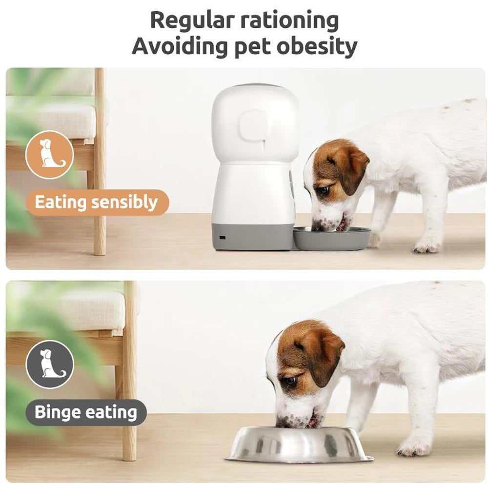 3.5L WiFi Smart Pet Feeder – Voice Recorder & Slow Feed 🐾📱
