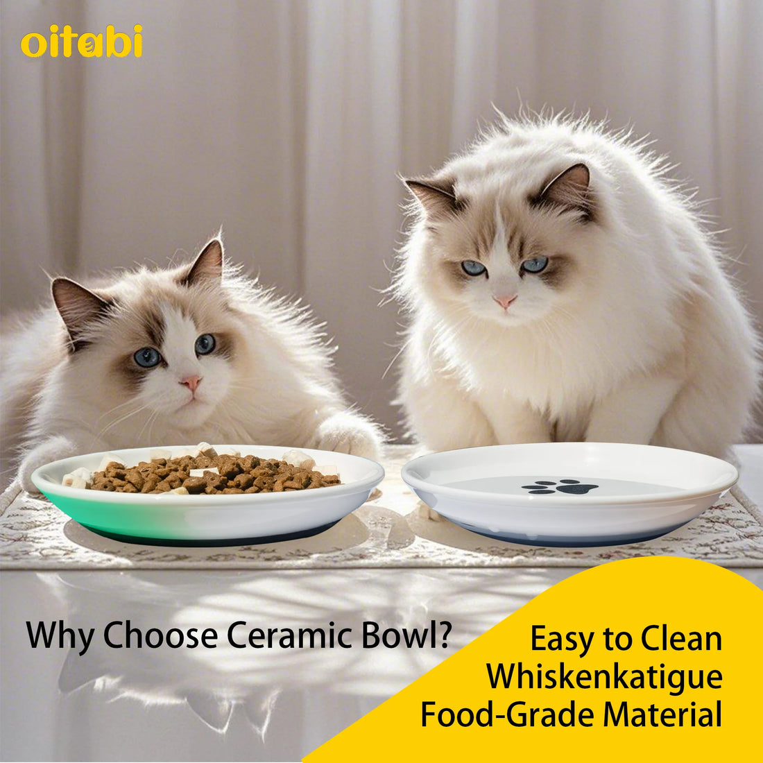 🐾 Oitabi 3PCS No-Spill Cat Bowl Set – Shallow Ceramic Dishes for Cats & Kittens