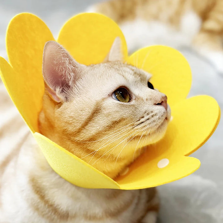 Pet Protective Collar Dog Neck Cone Recovery Cone Collar for Anti-Bite Lick Surgery Wound Healing Cat Dogs