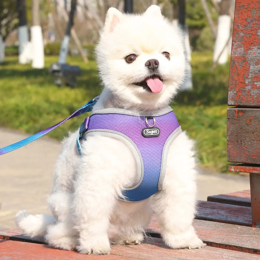 🐾 Supet Step-In Pet Harness – Adjustable, Reflective & Breathable for Dogs & Cats 🐶🐱
