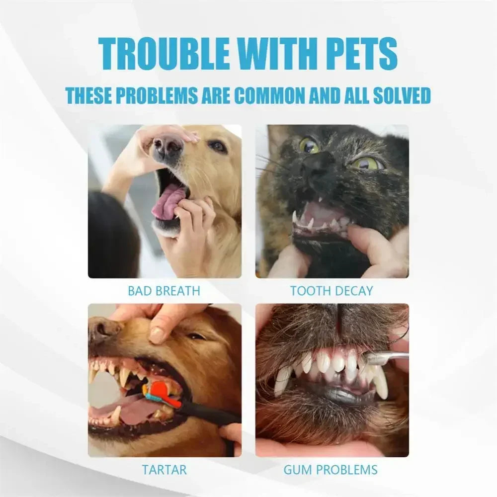 🪥 Cat Toothbrush – Soft Bristles for Gentle Teeth Cleaning | Pet Dental Care Grooming Tool