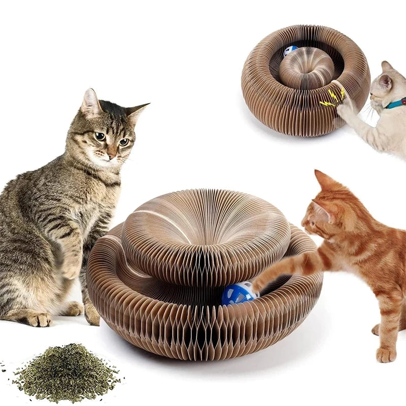Magic Organ Cat Scratcher – Corrugated Round Claw Grinding Toy