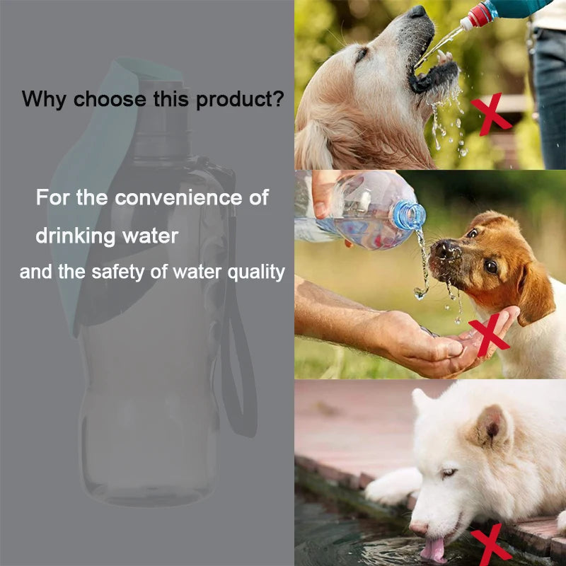 💧 Portable Dog Water Bottle – Leak-Proof Pet Hydration for Outdoor Walks & Travel