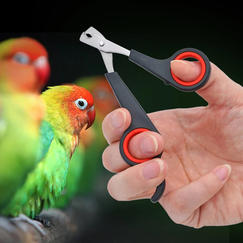 Pet Nail Clippers – Professional Claw Cutter for Dogs, Cats, Birds, Guinea Pigs & Small Animals