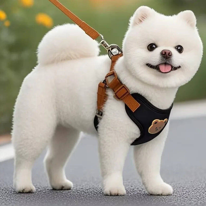 🐾 Breathable Pet Dog Harness & Leash Set – For Small & Medium Dogs & Cats