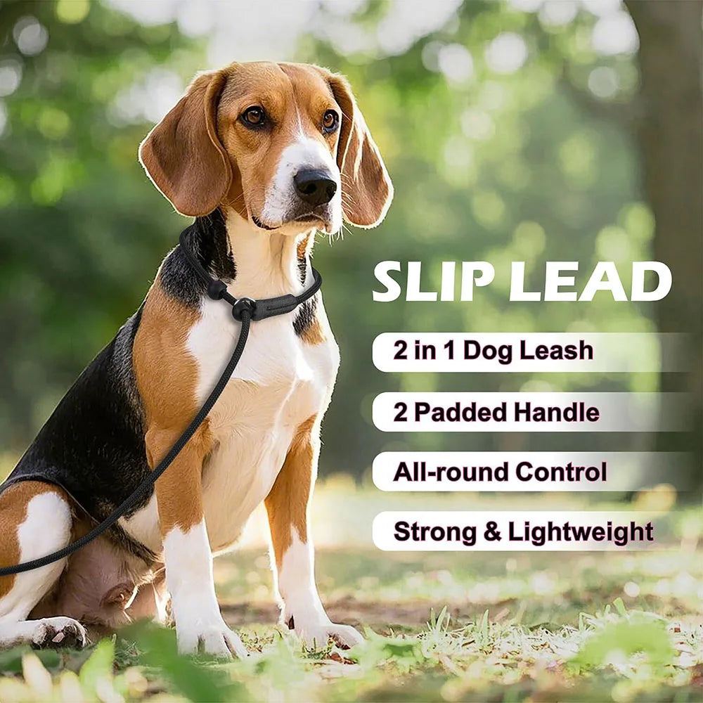 Dog Slip Lead Leash with Double Padded Handle – No Pull Training Lead with Choker Collar & Anti-Tangle Design