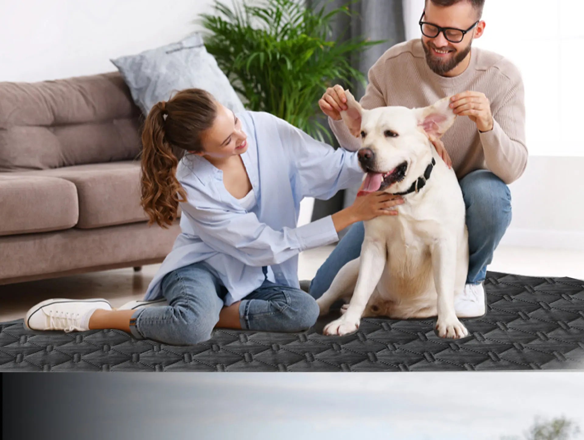 Double-Sided Reversible Dog Bed Cover – Waterproof Sofa & Furniture Protector Blanket for Pets & K