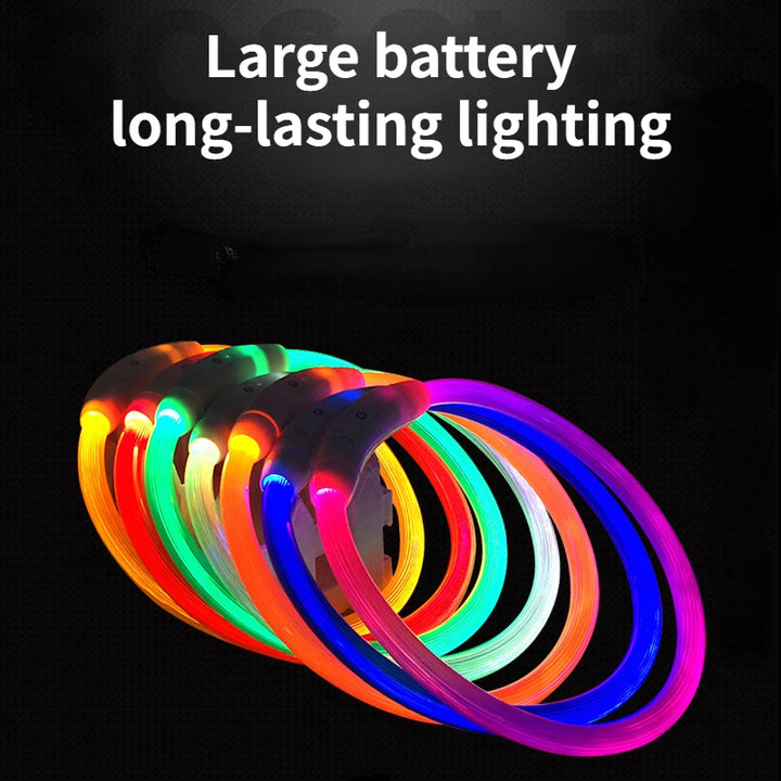 💡 LED Pet Luminous Collar – USB Rechargeable Anti-Lost Safety Collar for Dogs & Cats